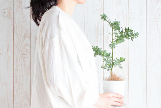 【40代~の女性に】抜け毛が増える原因はホルモンバランスにあり!